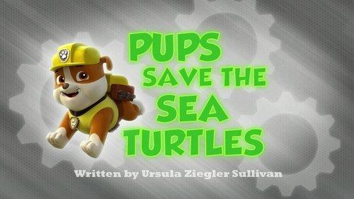 undefined Season 1 Episode 5 - Pups Save the Sea Turtles