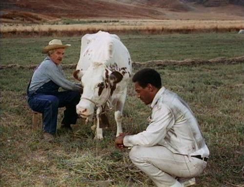 I Spy Season 3 Episode 13 - An American Empress