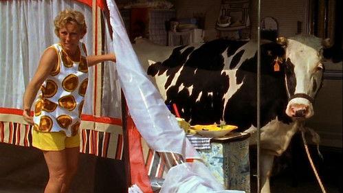 Die Camper Season 5 Episode 3 - Episode 3