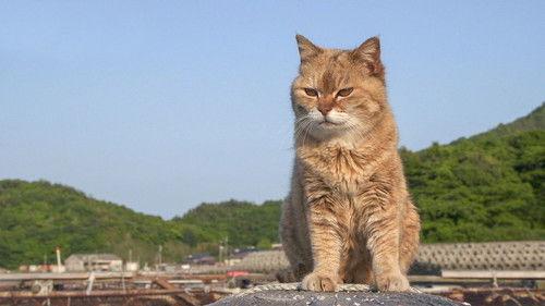 A Cat's-Eye View of Japan Season 2 Episode 8 - Yamaguchi: Mother & Child