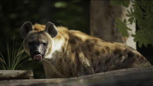 Race of life Season 1 Episode 9 - Defenses