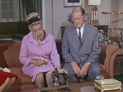 Hazel Season 4 Episode 17 - It's a Dog's Life (a.k.a) It's a Dog's World