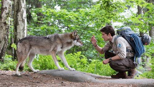 The Ranger - On the Hunt Season 1 Episode 1 - Wolfsspuren