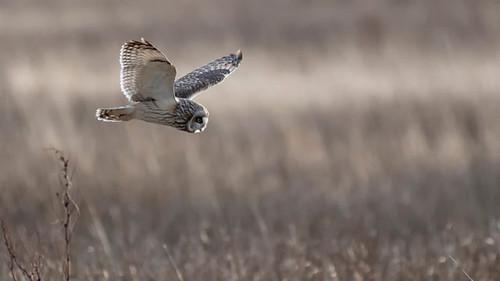 Springwatch Season 18 Episode 4 - Episode 4