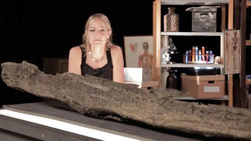 Digging for Britain Season 5 Episode 3 - East