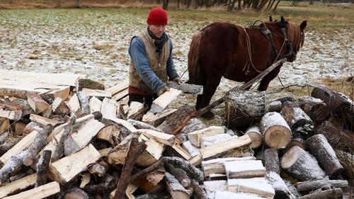 Frank & Kastaniegaarden Season 31 Episode 3 - Episode 3