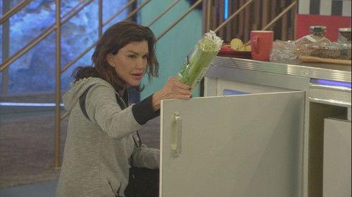 Celebrity Big Brother Season 16 Episode 4 - CBB16 - Day 3 Highlights