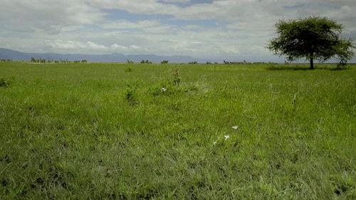 Todd Sampson's Body Hack Season 1 Episode 2 - Hunter Gatherer