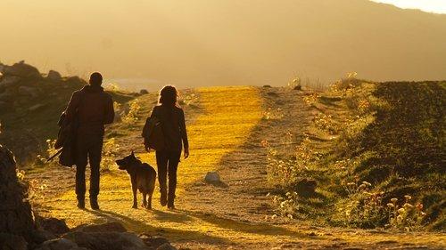 undefined Season 1 Episode 1 - The Beast Forever