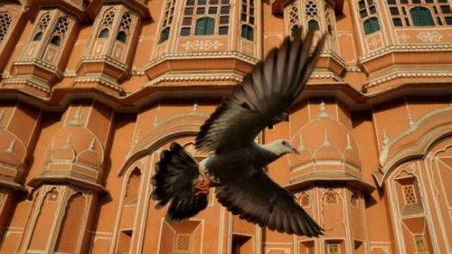 Nature Season 32 Episode 5 - Earthflight: Asia and Australia