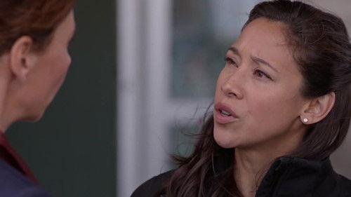 Hudson & Rex Season 2 Episode 10 - The French Connection