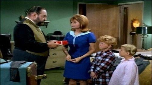 Family Affair Season 2 Episode 3 - Go Home, Mr. French