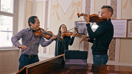 Great Performances Season 48 Episode 2 - Now Hear This “Haydn: King of Strings”