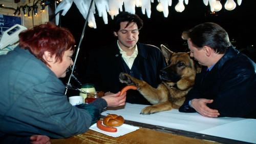 Background image for City In Fear