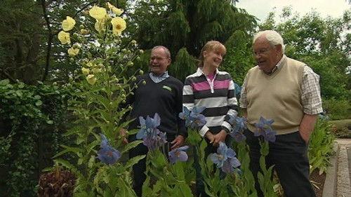 The Beechgrove Garden Season 40 Episode 11 - Episode 11