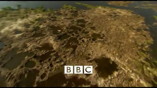 The Chinese Are Coming Season 1 Episode 1 - Africa