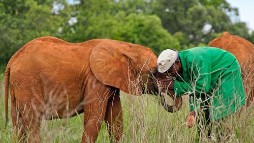 Our Changing Planet Season 2 Episode 2 - Episode 2