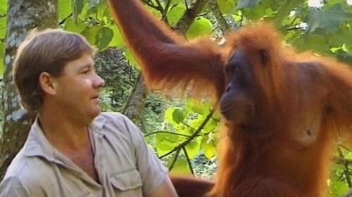 The Crocodile Hunter Season 3 Episode 12 - A Handful of Elephants