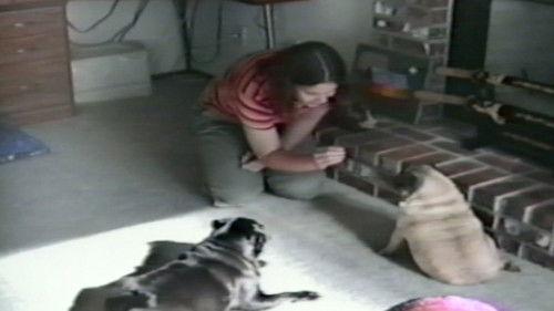 Funniest Pets & People Season 3 Episode 3 - Future Draft Picks