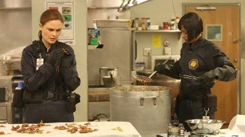 Bones Season 9 Episode 10 - The Mystery in the Meat