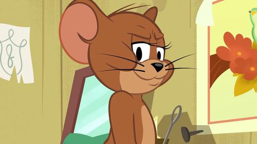 The Tom and Jerry Show Season 4 Episode 18 - Un-Welcome Home