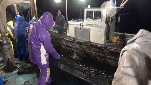 Japanology Plus Season 5 Episode 1 - Ocean Fishing