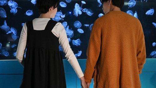 Cinderella Closet Season 1 Episode 10 - Episode 10