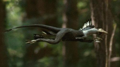 Prehistoric Park Season 1 Episode 3 - DinoBirds