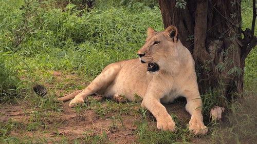 Po jedné stopě Season 2 Episode 5 - Episode 5