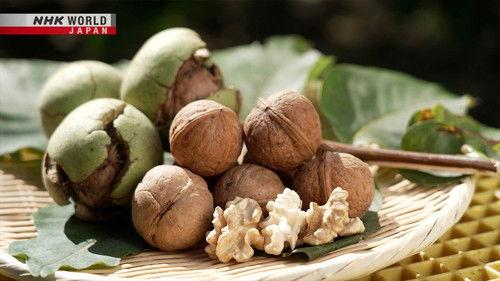 Trails to Oishii Tokyo Season 7 Episode 18 - Walnuts