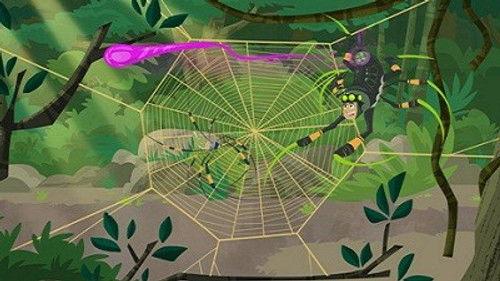 Wild Kratts Season 2 Episode 5 - Secrets of the Spider's Web