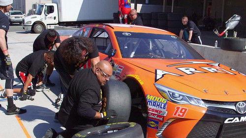 Fluffy's Food Adventures Season 2 Episode 8 - Daytona