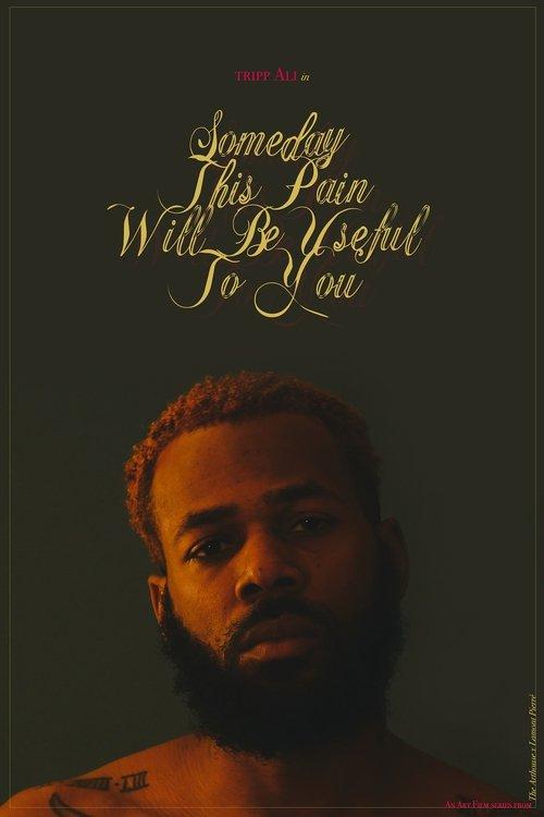 Someday This Pain Will Be Useful to You poster