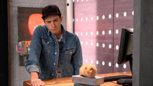 Cochon dingue Season 1 Episode 18 - Episode 18