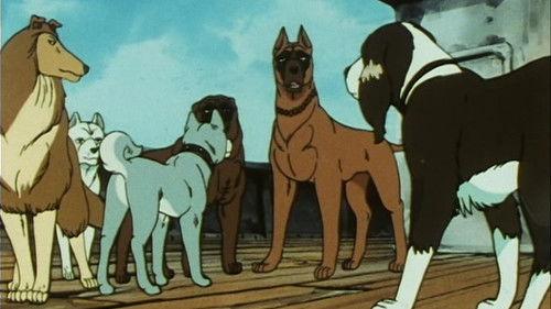 Silver Fang: The Shooting Star Gin Season 1 Episode 14 - Advancing! The Small Young Commander