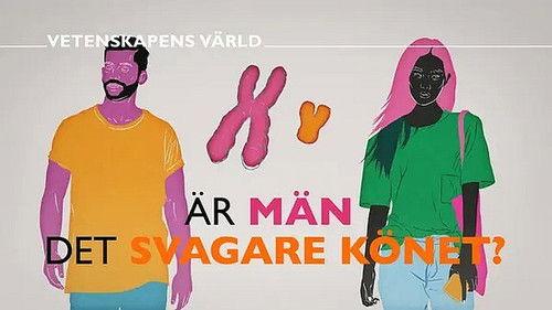 Vetenskapens värld Season 47 Episode 7 - Episode 7