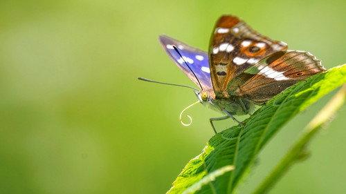 Springwatch Season 24 Episode 2 - Episode 2