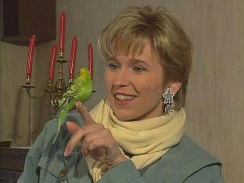 Mailbox X Season 4 Episode 8 - Episode 8