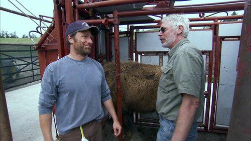 Dirty Jobs Season 4 Episode 14 - Animal Barber