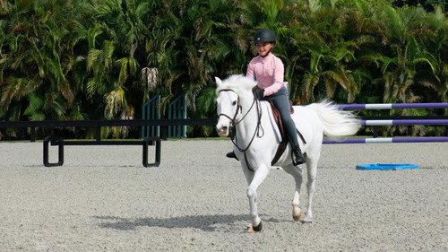 Island of Bryan Season 4 Episode 2 - Half Baked