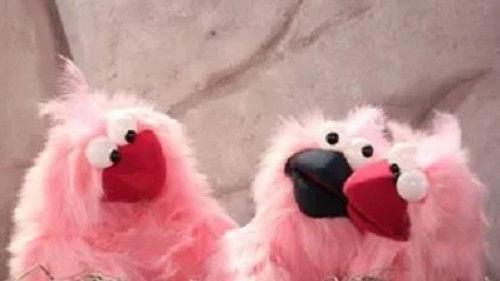 Uau Ka Kau Season 1 Episode 10 - Episode 10