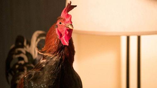 undefined Season 4 Episode 7 - Behind the Scandalabra