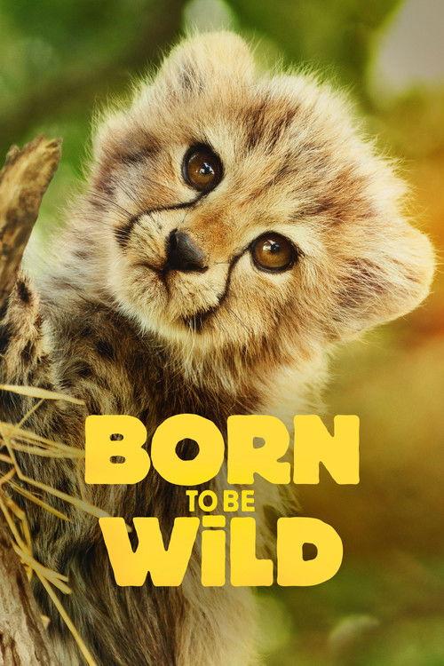 Born to Be Wild poster