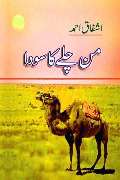 Mann Chalay Ka Sauda poster