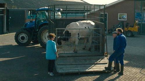 Woeste Grond Season 2 Episode 3 - Episode 3