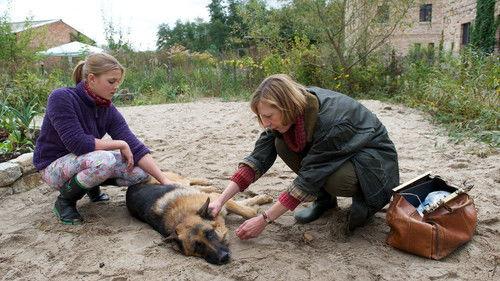 SOKO Wismar Season 9 Episode 19 - Episode 19