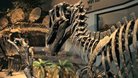 Mystery Lab Season 1 Episode 6 - The Great Extinction