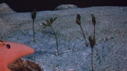 Clangers Season 2 Episode 8 - The Seed