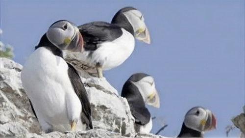 Kanadas Nationalparks Season 1 Episode 4 - Episode 4