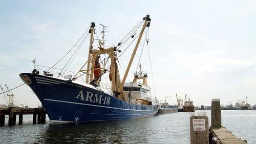 This Hour Has 22 Minutes Season 4 Episode 2 - Episode 65